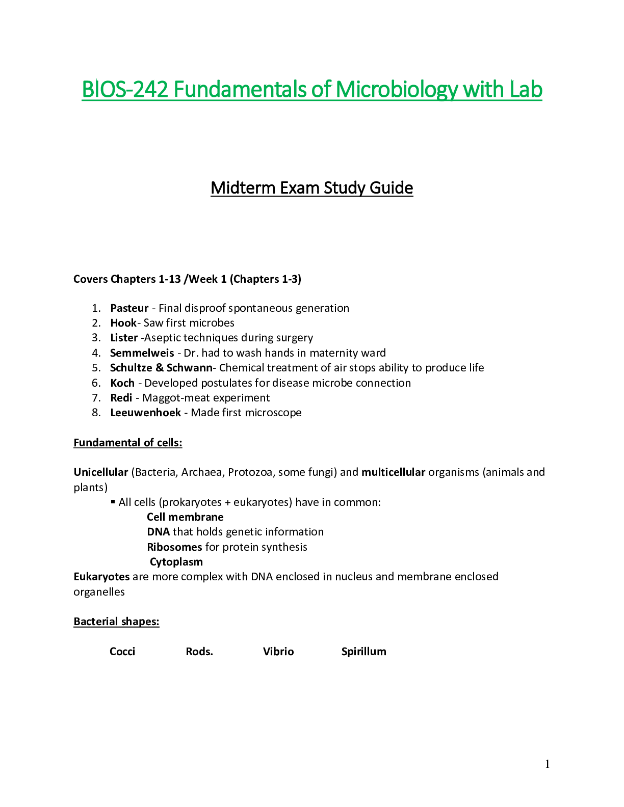 document-preview